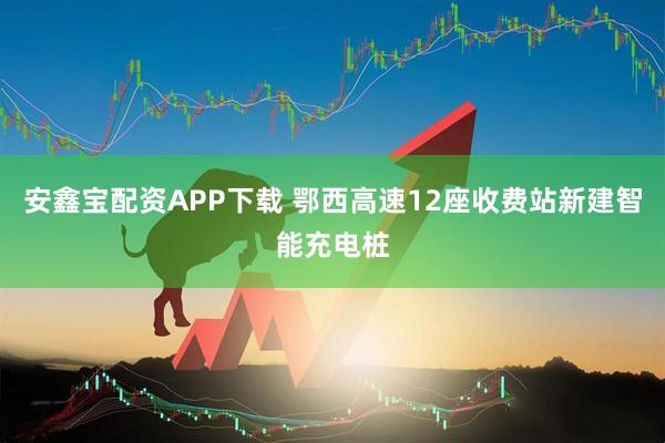 安鑫宝配资APP下载 鄂西高速12座收费站新建智能充电桩